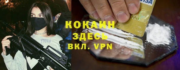 соль ск Богородицк