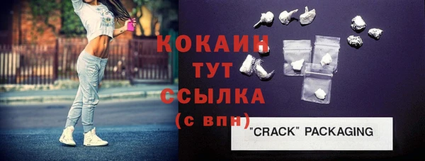соль ск Богородицк