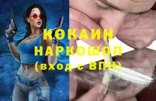 соль ск Богородицк