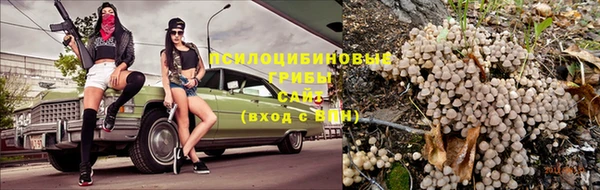 первитин Богородск