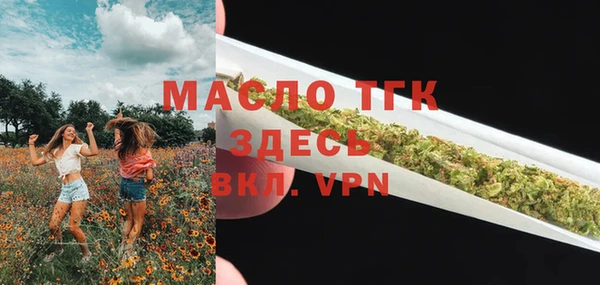 соль ск Богородицк