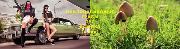 соль ск Богородицк
