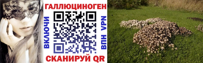 как найти закладки  кракен рабочий сайт  Галлюциногенные грибы GOLDEN TEACHER  Вологда 
